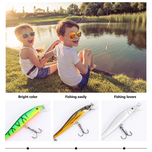 6pcs simulation lure - simulation,