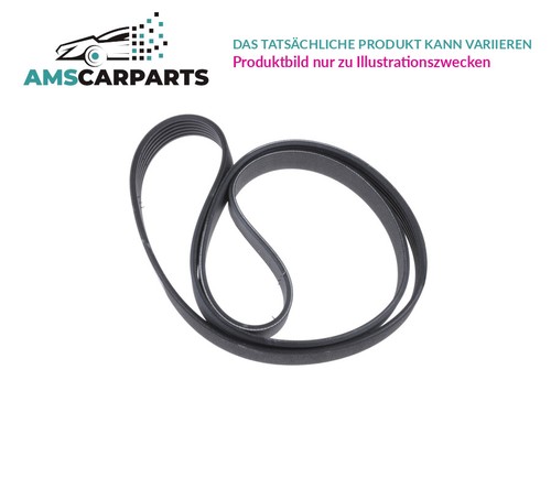 Belt ribbed vkmv - v-belt,